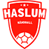 The Haslum HK logo