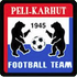 The Peka logo