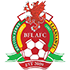 The Briton Ferry Athletic FC logo