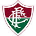 The Fluminense RJ U20 logo