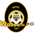 The Brisbane Wynnum Wolves FC logo