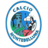 The Montebelluna logo