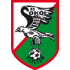 The Sokol Kleczew logo