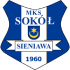The Sokol Sieniawa logo