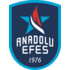 The Anadolu Efes Istanbul logo