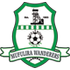 The Mufulira Wanderers logo