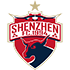 The Shenzhen FC logo