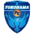 The FC Seagulls Yokohama (W) logo