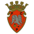 The FC Penafiel logo