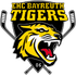 The EHC Bayreuth Tigers logo