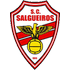 The SC Salgueiros logo