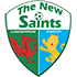The The New Saints FC logo