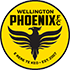 The Wellington Phoenix B logo