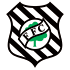 The Figueirense FC logo