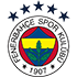 The Fenerbahce SK logo