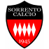 The Sorrento logo