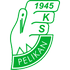 The Pelikan Lowicz logo