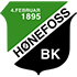 The Hoenefoss logo