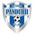 The Viitorul Pandurii Targu Jiu logo