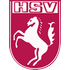 The Hammer Spvg logo