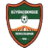 The Buyukcekmece Tepecikspor logo